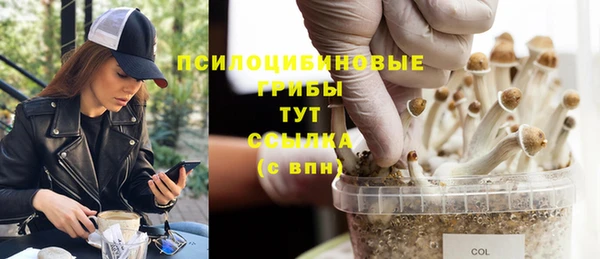 ешки Балабаново