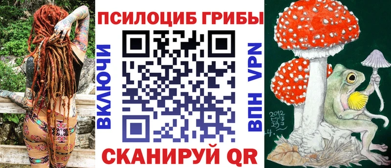 кракен как войти  Красный Холм  Псилоцибиновые грибы прущие грибы  закладки 